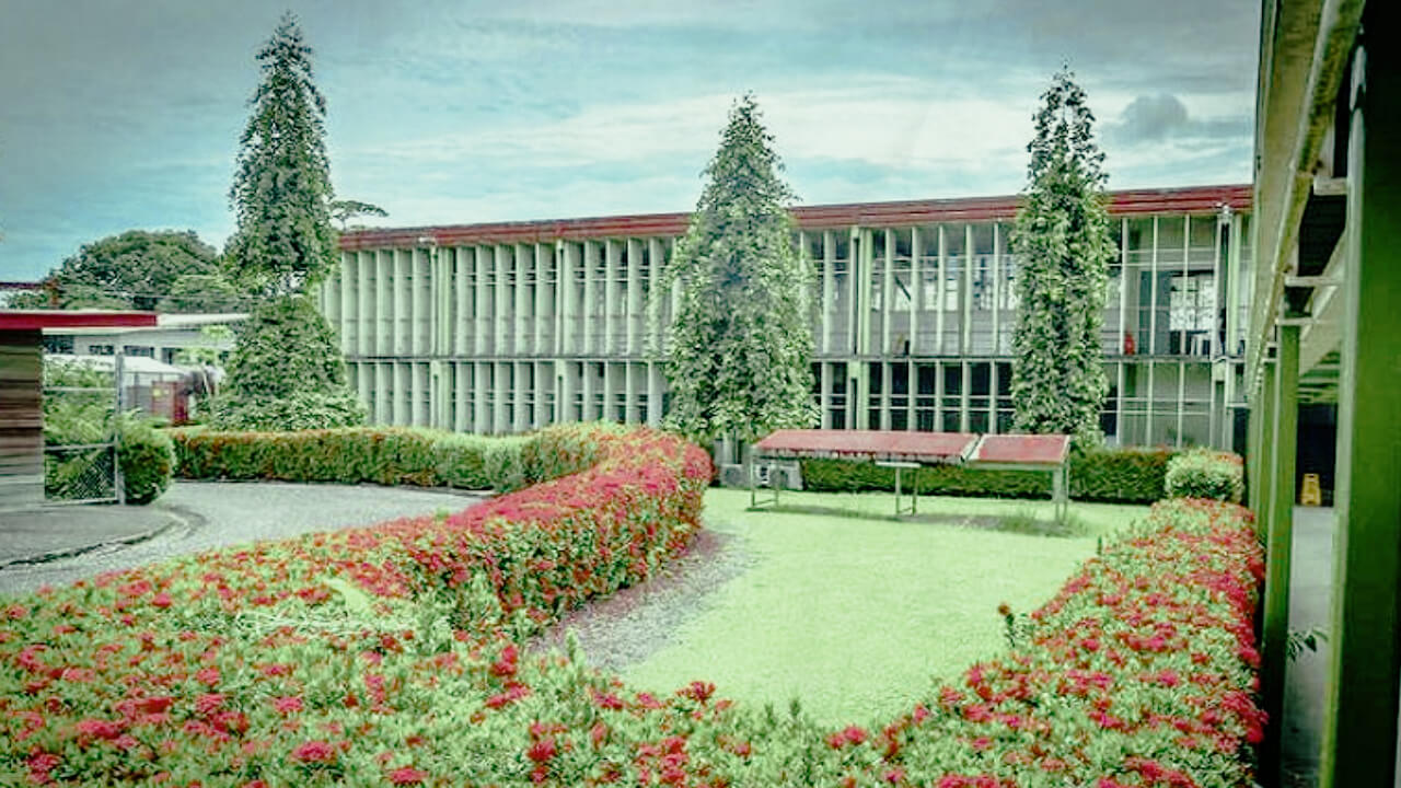 Universitas Terbaik di Vanuatu